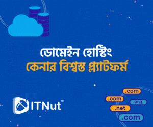 ITNut domain hosting